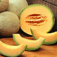 14. Дыня (Cantalupe)