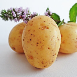 Плюсы картофельной диеты