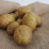Картофель