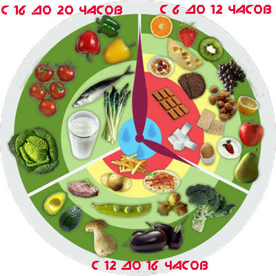 Каждую группу продуктов можно есть в определенное время дня