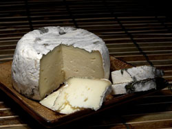 predpochtenie-v-ede-otdavalos-sy-ru