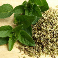 15-oregano