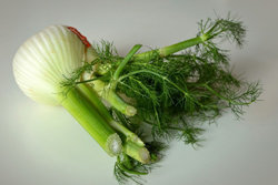 21. Фенхель