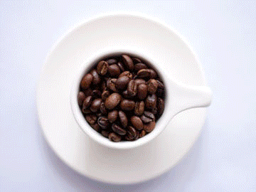 Cold Brew Coffee