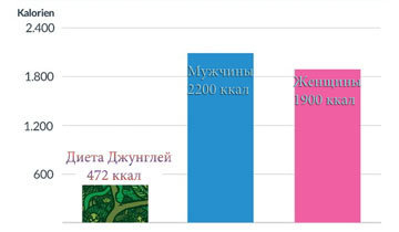 потребность в калориях