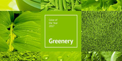 Greenery