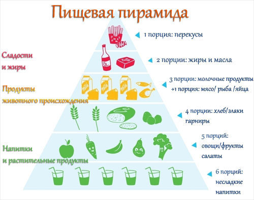 Пищевая пирамида
