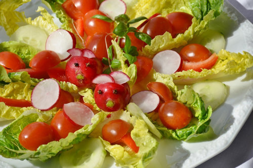 Салаты и закуски