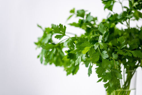 Самые полезные продукты