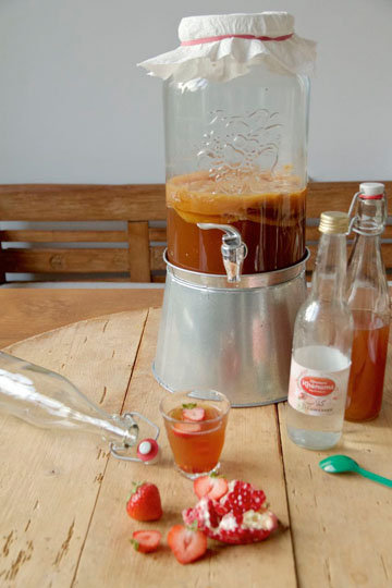 Kombucha. Пробиотические продукты