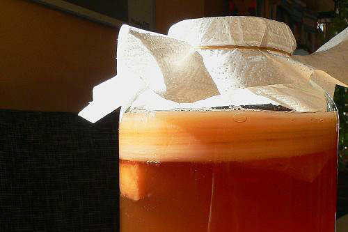Kombucha