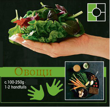 Модель тарелки 1