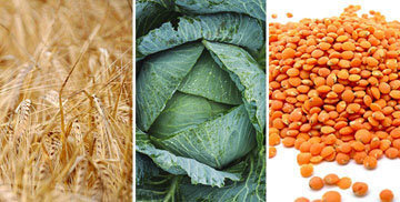 grain-green-bean