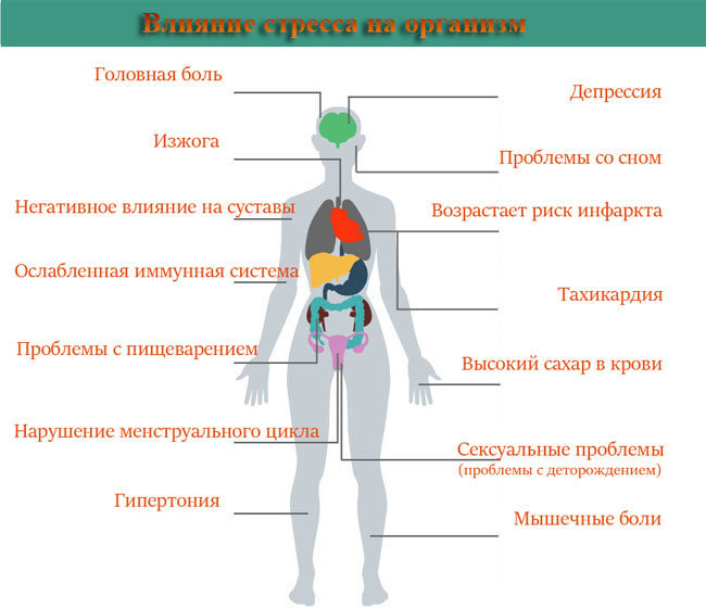 уровень кортизола