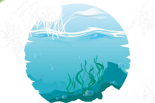 Водоросли