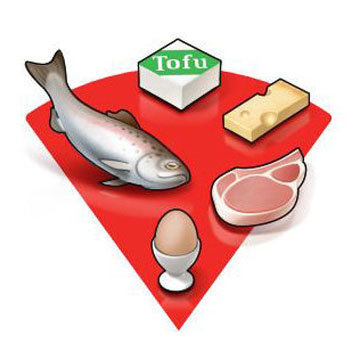Красная часть тарелки белковые продукты