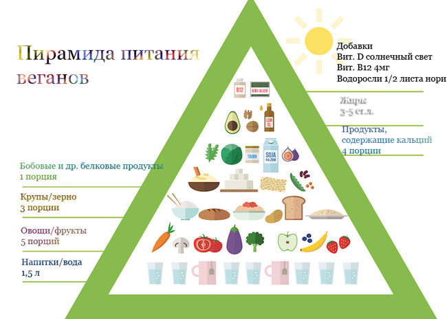 Веганская пищевая пирамида 1