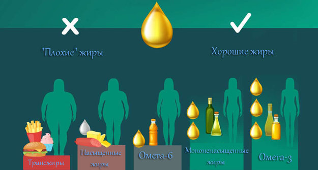 Насыщенные и ненасыщенные жирные кислоты