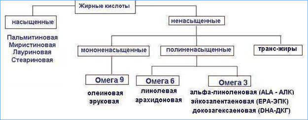 Различные категории жирных кислот