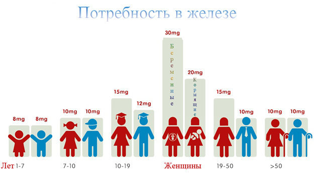 Суточная потребность в железе