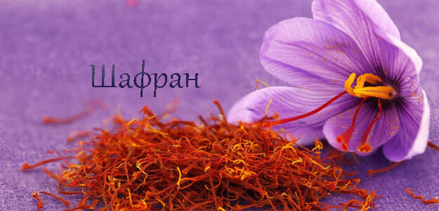 Шафран приправа
