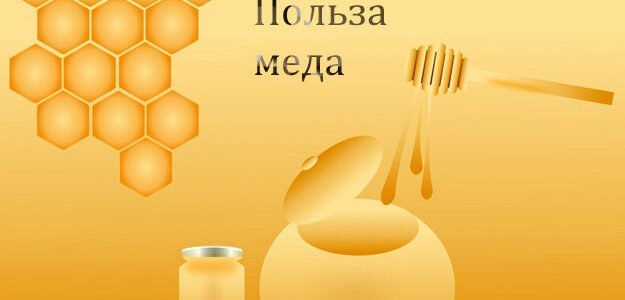 Польза меда для организма человека 1