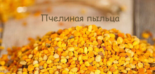 Польза продуктов пчеловодства. Пчелиная пыльца