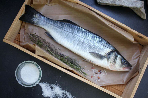 Loup de mer