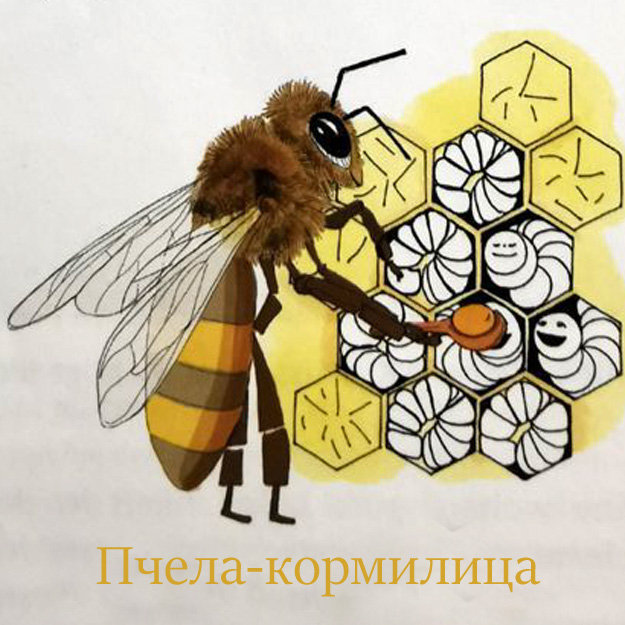 Пчела-кормилица