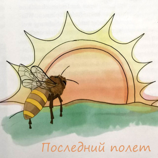 Последний полет
