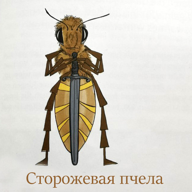 Сторожевая пчела