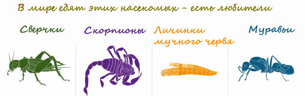  едят насекомых