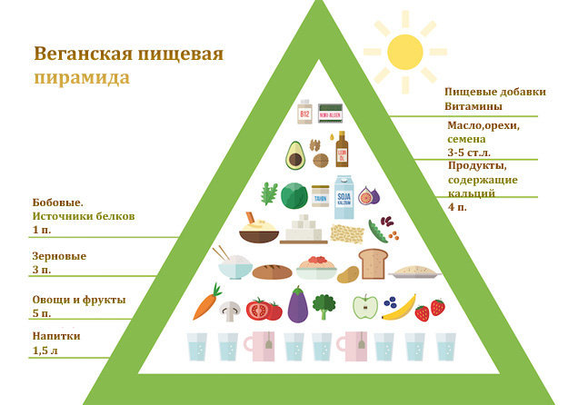 Веганская пищевая пирамида 