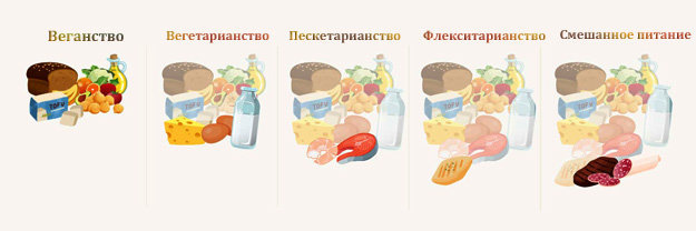 в чем разница между системами питания
