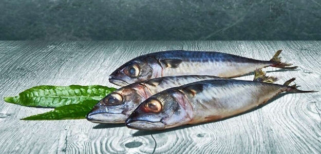 Скумбрия. Польза и рецепты Скумбрия. Польза и рецепты