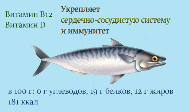 Скумбрия. Польза