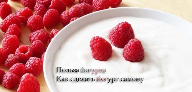 Чем полезен йогурт. Как сделать йогурт в домашних условиях
