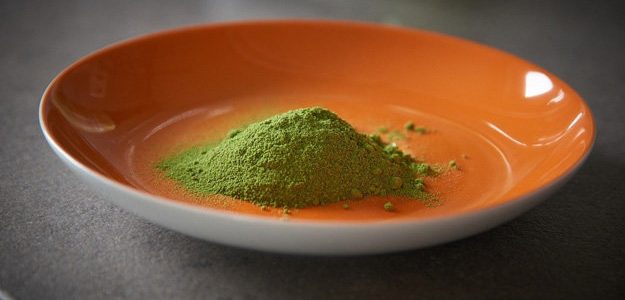 Моринга — что это, ее польза и как употреблять