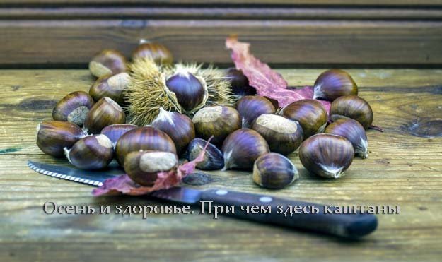 Каштаны. Рецепты-02