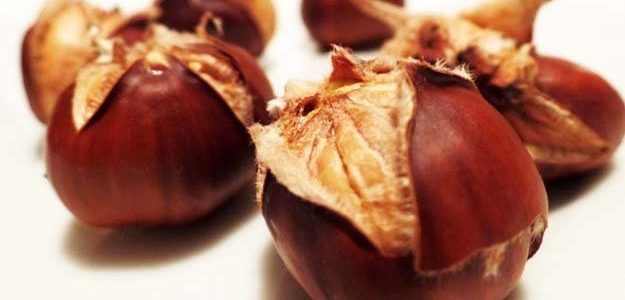 Осень и здоровье. При чем здесь каштаны Осень и здоровье. При чем здесь каштаны