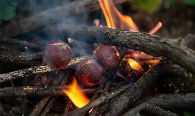 Приготовление каштанов-02