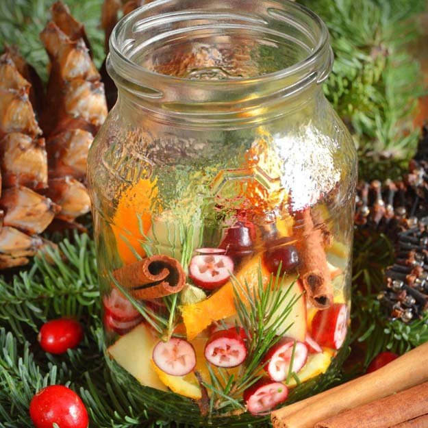 Рождественский эликсир для здоровья с клюквой-01