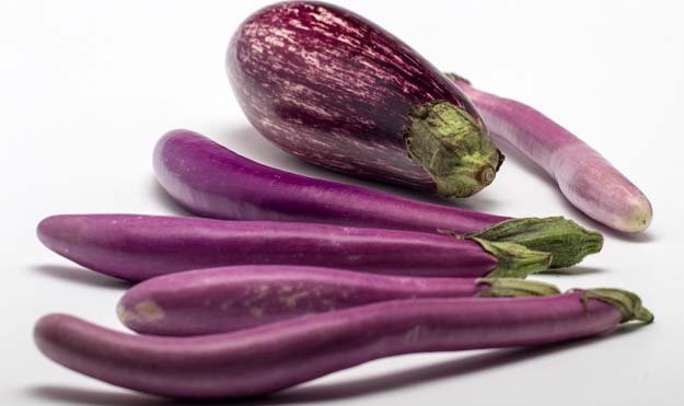 баклажаны-01