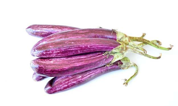 баклажаны-02