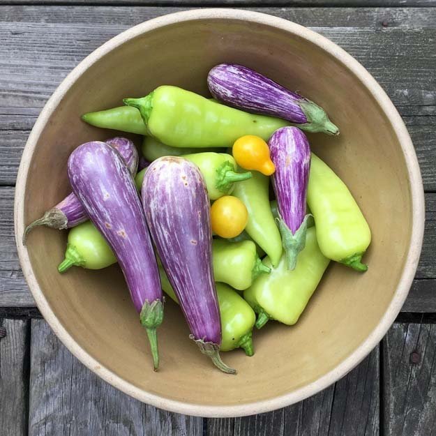 Консервирование других овощей