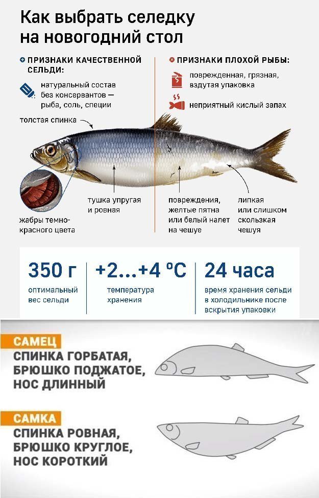 Салат Селедка под шубой-04