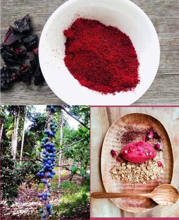 Сливовый порошок 