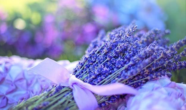 Снижение кортизола-02