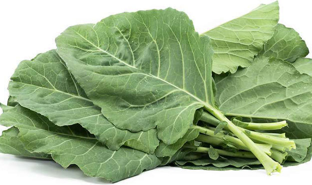 Полезные овощи. Кормовая капуста