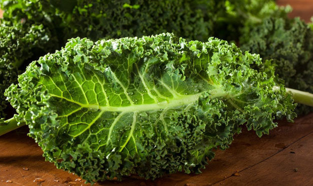 Полезные овощи. Кудрявая капуста